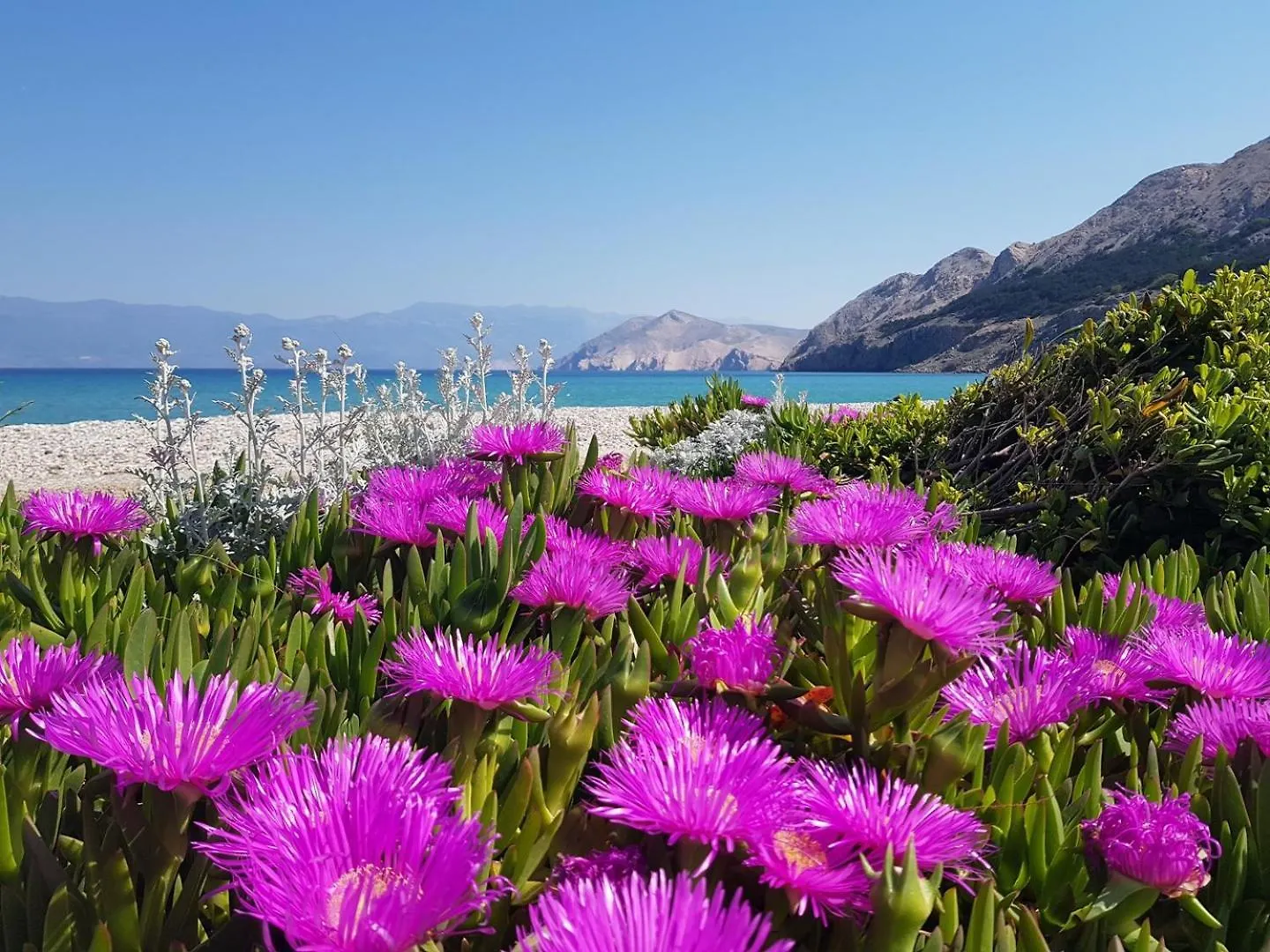 Penzion Apartments Gorica 2 Baška